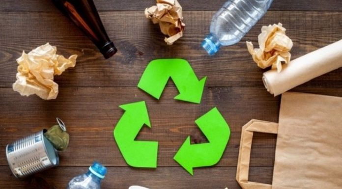 Estos Emprendedores se Hicieron Millonarios con el Reciclaje